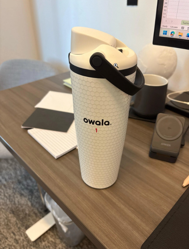 Owala Fairways For Days FreeSip Water Bottle 30oz Leak Proof New