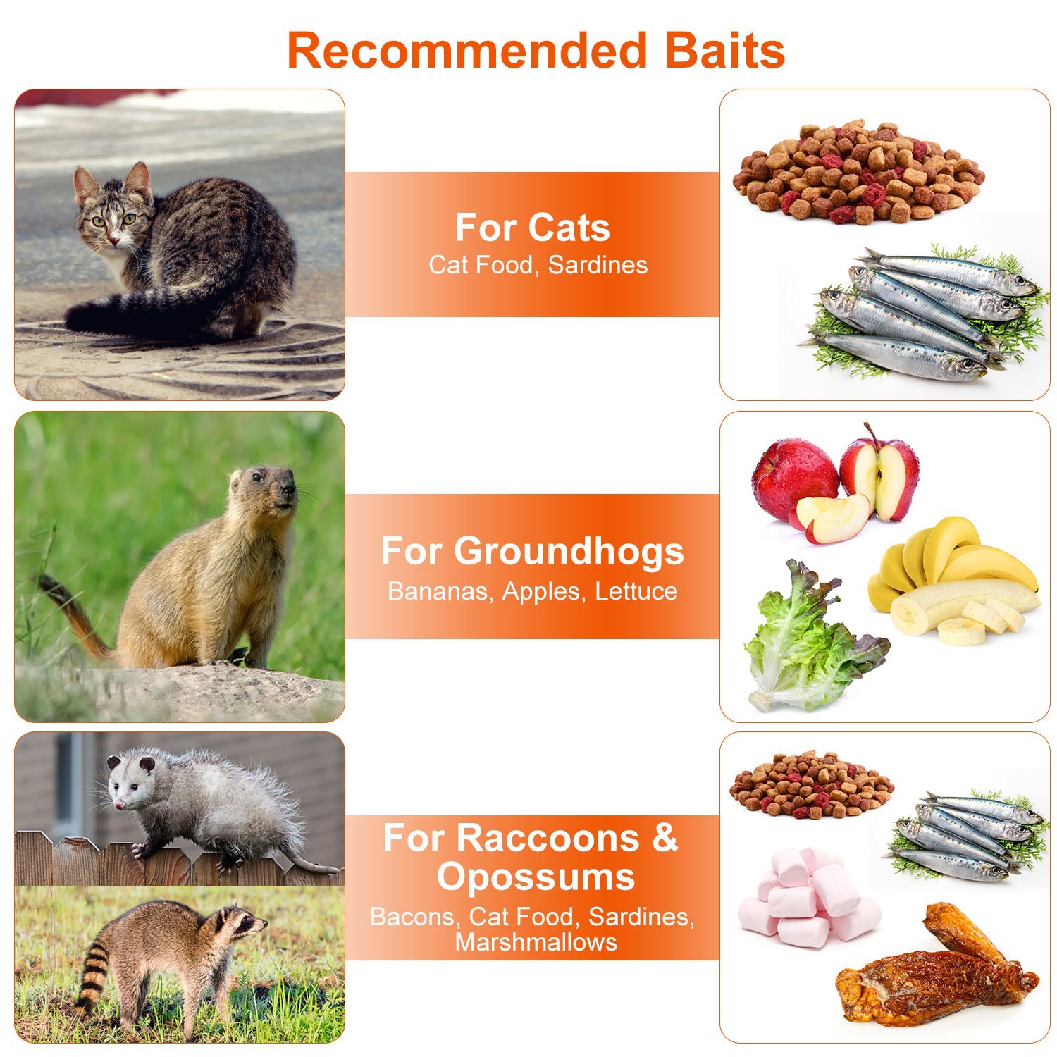 Humane Live Animal Trap Control Steel Cage for Rodent Rabbits Raccoon Squirrel