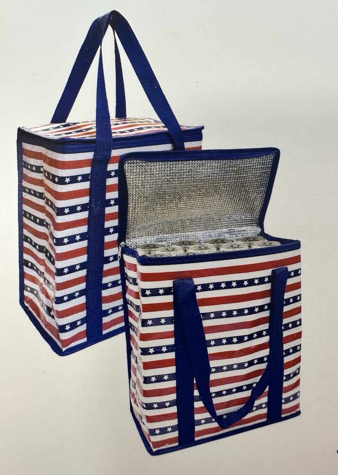 Hydro Cold + Hot 4-6 Hours Insulated Cooler Bag Hold 24 + Cans NEW